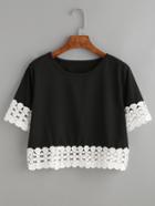 Romwe Black Contrast Crochet Trim Crop T-shirt