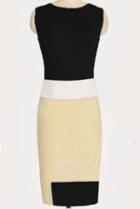 Romwe Color-block Sleeveless Slim Dress
