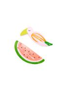 Romwe Watermelon & Bird Hair Clip 2pcs
