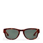 Polo Ralph Lauren Polarized Stripe Sunglasses Dark Brown