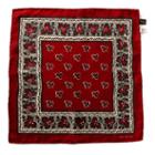 Ralph Lauren Rrl Print Silk Pocket Square