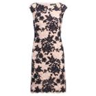 Ralph Lauren Lace Cap-sleeve Dress Nvy/pink/multi