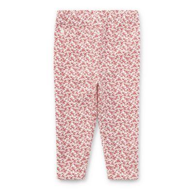 Ralph Lauren Floral Stretch Cotton Legging Cream/red Multi 9m