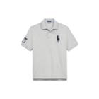 Ralph Lauren Classic Fit Mesh Polo Shirt Andover Heather L Tall