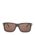 Polo Ralph Lauren Modern Racing Sunglasses Dark Havana