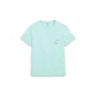 Ralph Lauren Cotton Jersey Graphic T-shirt Bayside Green 1x Big
