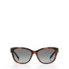 Polo Ralph Lauren Classic Tartan Sunglasses Gordon Tartan