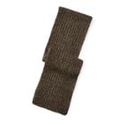 Polo Ralph Lauren Rib-knit Ragg Scarf Loden Ragg