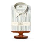 Ralph Lauren Eli Striped Cotton Dress Shirt Rl 980 White Blue