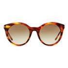 Ralph Lauren Rl Butterfly Sunglasses Striped Havana