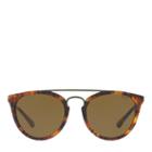 Polo Ralph Lauren Panthos Sunglasses Shiny Havana Jerry