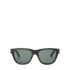 Ralph Lauren Safari Sunglasses Green Havana/grey Green
