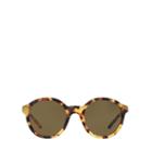Polo Ralph Lauren Rounded Sunglasses Olive