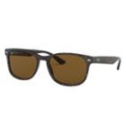 Ray-ban Tortoise Sunglasses, Brown Lenses - Rb2184