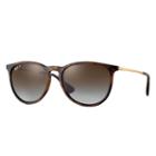 Ray-ban Women's Erika @collection Gold Sunglasses, Polarized Brown Lenses - Rb4171