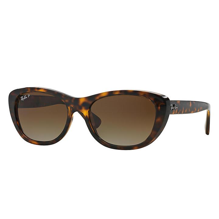 Ray-ban Tortoise Sunglasses, Polarized Brown Lenses - Rb4227