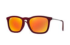 Ray-ban Unisex Bordeaux Sunglasses