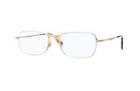 Ray-ban Rx6253 2754  52 Eyeglasses