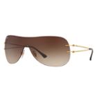 Ray-ban Gold Sunglasses, Brown Lenses - Rb8057