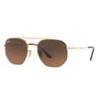 Ray-ban Marshal Gold Sunglasses, Brown Lenses - Rb3648