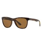 Ray-ban Blue Sunglasses, Polarized Brown Lenses - Rb4184
