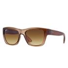 Ray-ban Brown Sunglasses, Brown Sunglasses Lenses - Rb4194