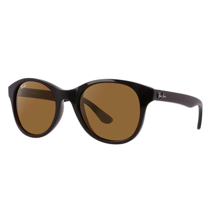 Ray-ban Brown Sunglasses, Brown Sunglasses Lenses - Rb4203