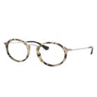 Ray-ban Silver Eyeglasses - Rb2547v