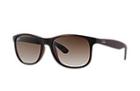 Ray-ban Unisex Brown Andy Sunglasses
