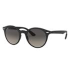 Ray-ban Men's Black Sunglasses, Gray Lenses - Rb4296