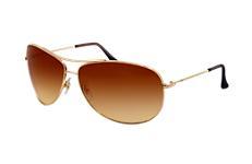 Ray-ban Rb3293 001/2l63 Sunglasses