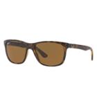 Ray-ban Tortoise Sunglasses, Polarized Brown Lenses - Rb4181