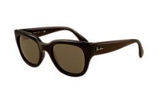 Ray-ban Rb4178 601/7152 Sunglasses