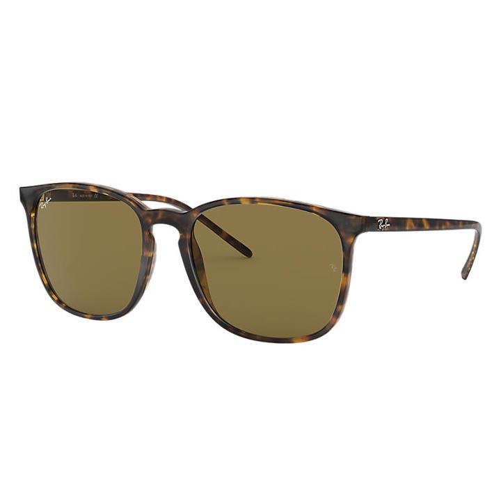 Ray-ban Tortoise Sunglasses, Brown Lenses - Rb4387