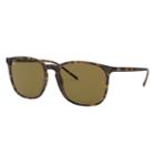 Ray-ban Tortoise Sunglasses, Brown Lenses - Rb4387