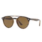 Ray-ban Tortoise Sunglasses, Brown Lenses - Rb4279