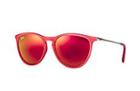 Ray-ban Unisex Purple-reddish Sunglasses