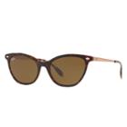 Ray-ban Copper Sunglasses, Brown Lenses - Rb4360