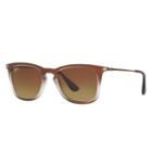 Ray-ban Brown Sunglasses, Brown Sunglasses Lenses - Rb4221