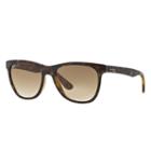 Ray-ban Tortoise Sunglasses, Brown Lenses - Rb4184