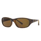 Ray-ban Daddy-o Ii Blue Sunglasses, Brown Lenses - Rb2016