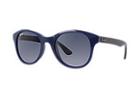 Ray-ban Unisex Blue Sunglasses