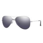 Ray-ban Aviator Flat Metal Silver Sunglasses, Gray Lenses - Rb3513