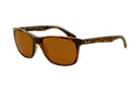 Ray-ban Rb4181 710/8357 Sunglasses