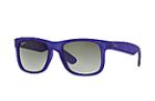 Ray-ban Unisex Blue-violet Sunglasses