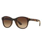 Ray-ban Tortoise Sunglasses, Brown Lenses - Rb4203