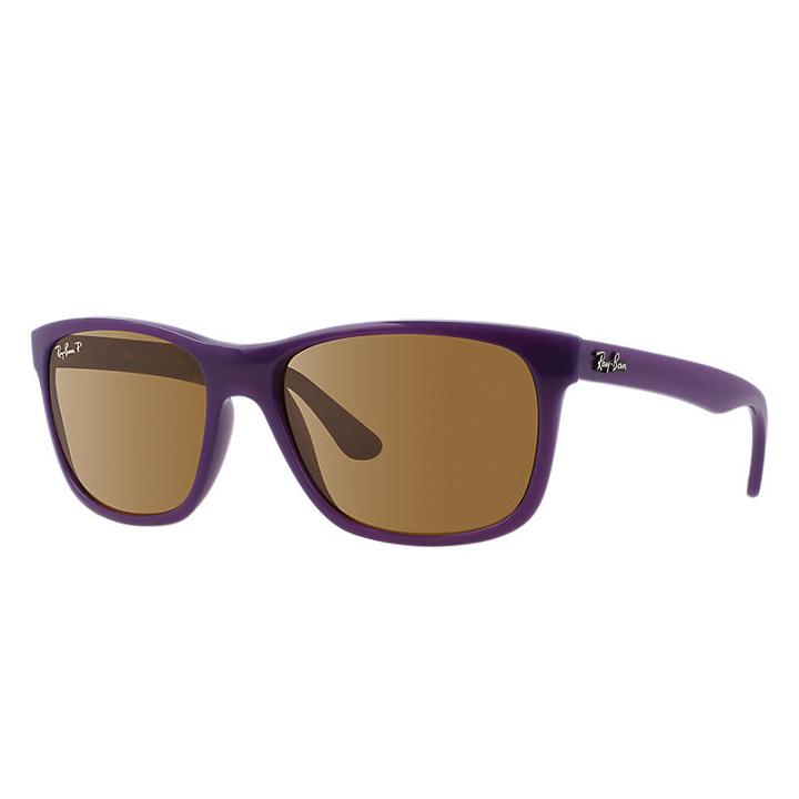 Ray-ban Purple Sunglasses, Brown Lenses - Rb4181