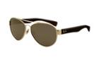 Ray-ban Rb3491 019/6g59 Sunglasses