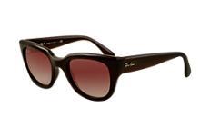Ray-ban Rb4178 601/8g52 Sunglasses