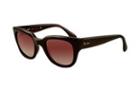 Ray-ban Rb4178 601/8g52 Sunglasses